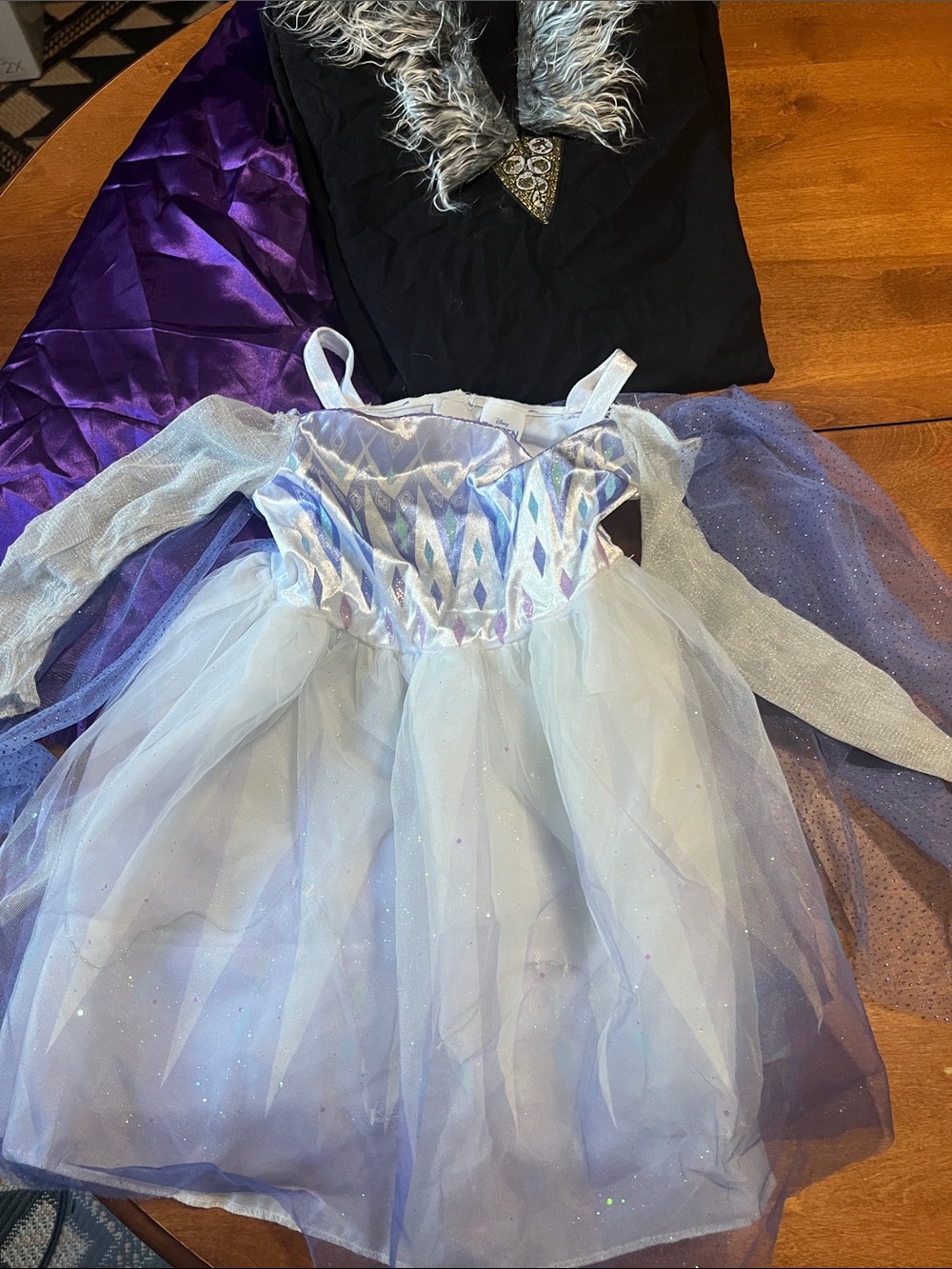 Elsa Frozen Costume with Family Accessories